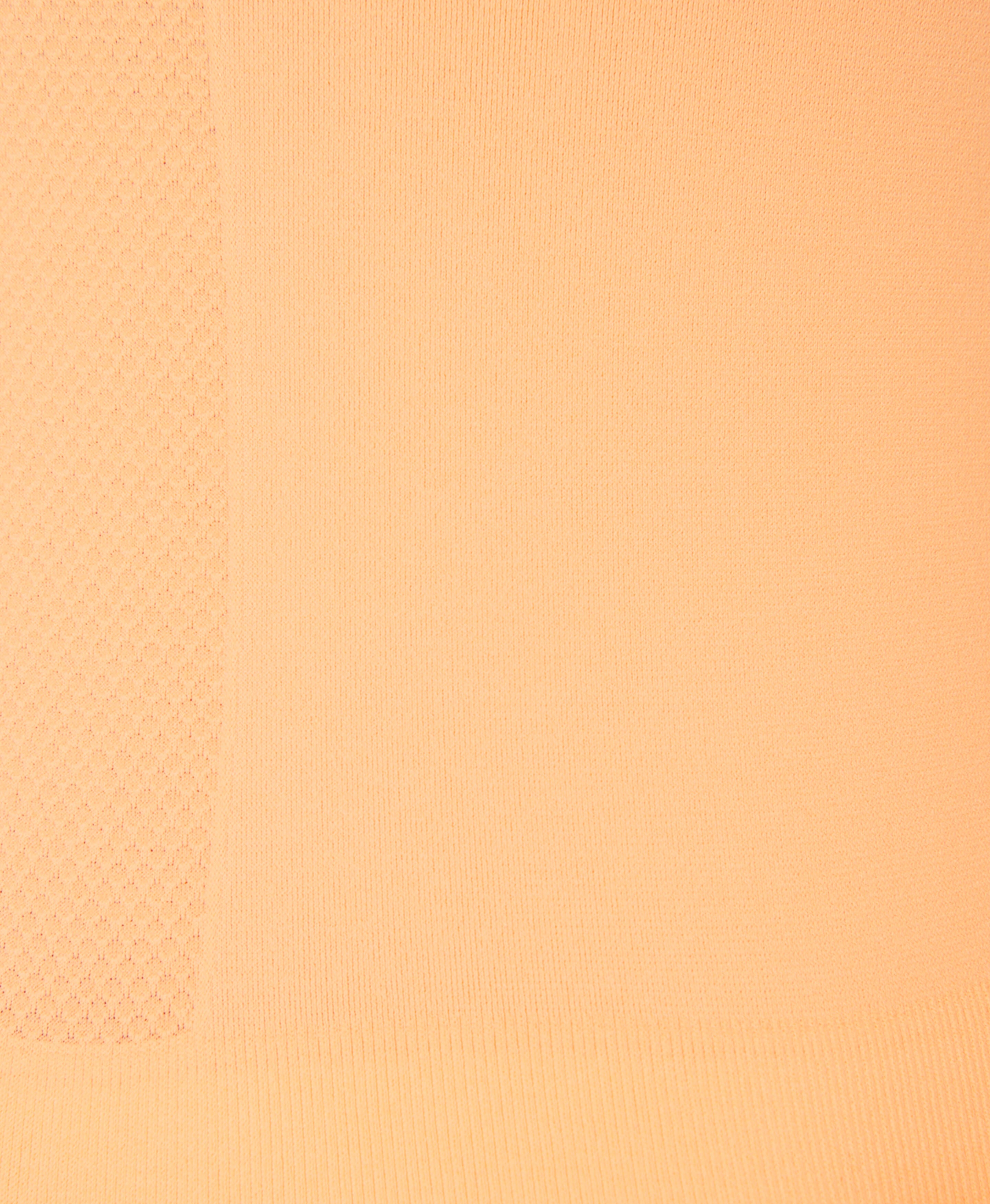 Athlete Crop Seamless Workout T-Shirt