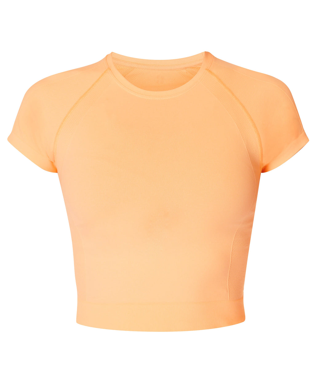 Athlete Crop Seamless Workout T-Shirt